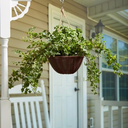 Nature Spring Nature Spring Artificial English Ivy Hanging Plant 177630ZFT
